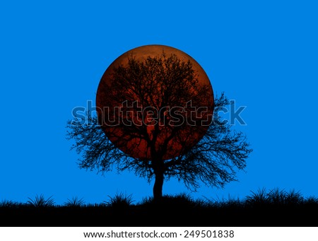 lone tree with lunar eclipse \