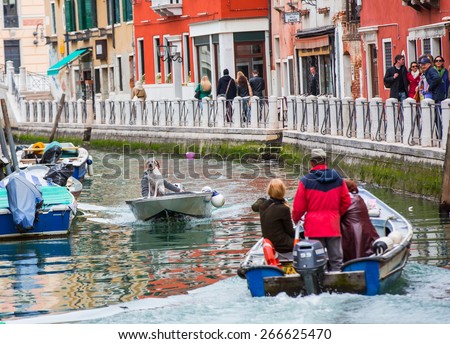 VENICE,ITALY - MARCH 21, 2015:Senior man with dog in motor boat
