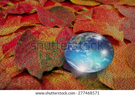 water drop (earth) and red leaf background \
