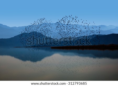 Birds over the mountain