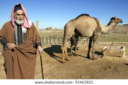 Camel Breast