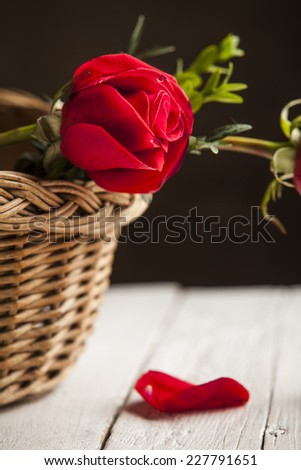 Red roses in a basket