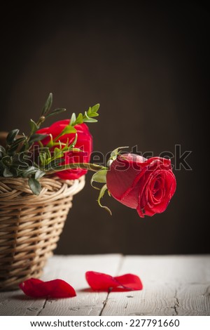 Red roses in a basket