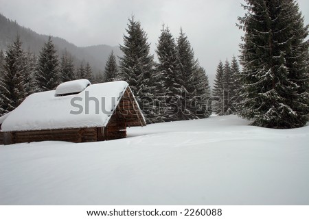ski, sky, slope, snow, spruce, tree, trees, white, winter