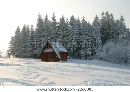 ski, sky, slope, snow, spruce, tree, trees, white, winter