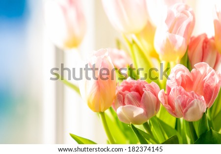 Horizontal photo of bunch of flowers standing on windowsill against blue sky