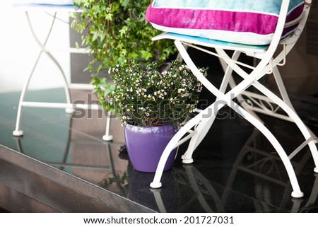 Closeup photo of metal chair and plant growing in pot
