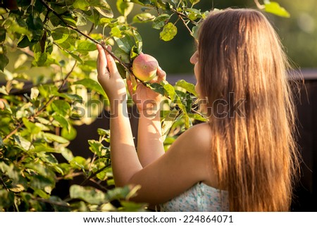 Portrait of young woman picking apple from tree branch