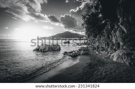 Black and white landscape of cliffs with growing trees standing at sea at sunset