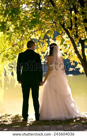 Young just married couple holding hands under tree and looking at river