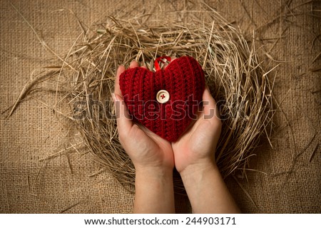 Closeup photo of female holding red knitted heart in hands at nest