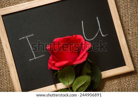 Closeup photo of red rose lying on declaration of love written on blackboard