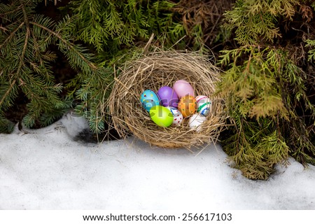 Closeup photo of painted Easter eggs hidden in nest at backyard