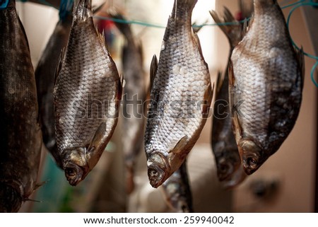 Closeup photo of salted bass drying on stick