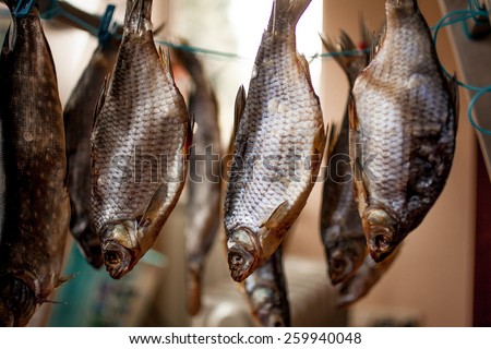Closeup photo of row of drying salted fish