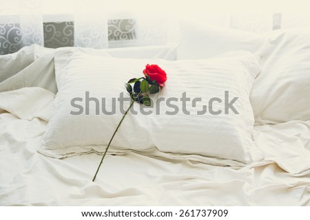 Toned photo of red rose lying on bed at morning