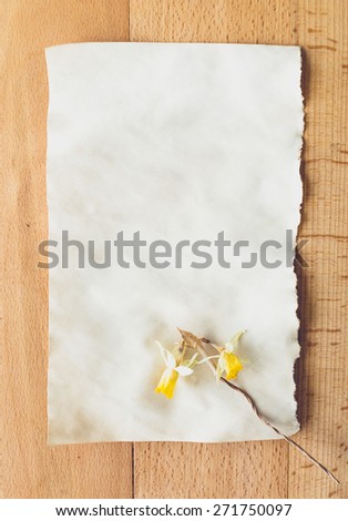 Closeup toned photo of of old blank piece of paper with dried flower lying on wooden desk
