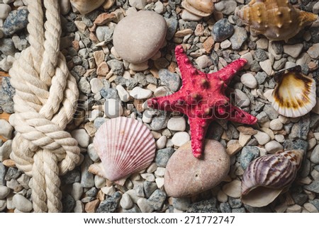 Marine background with ropes and seashells lying on seashore