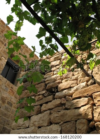 A vine growing on the roof a Lebanese village house beside an old brick wall.