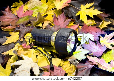 Lighting flashlight at the Rug of yellow leafs