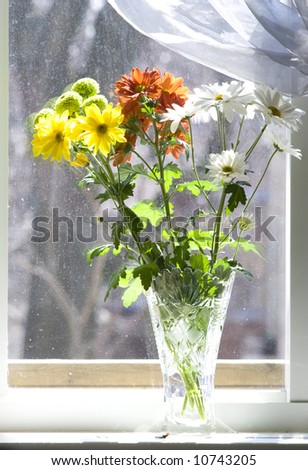 Bouquet of multicolored chamomiles in sunshine at window with silk drapery