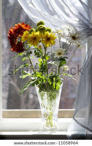 Bouquet of multicolored chamomiles in sunshine at window with silk drapery