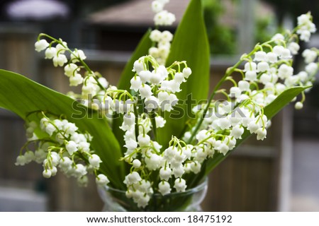 bouquet of lily of the valley in glass vase at the wood handrail