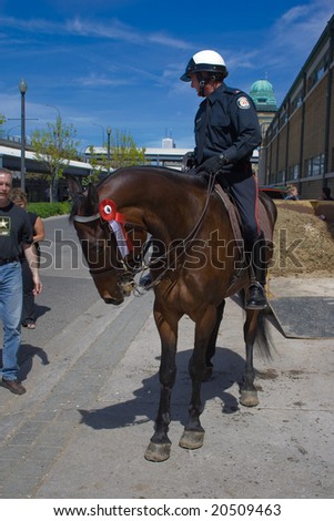 Toronto, ON - May 25, 2008: The vinner of Royal Police horce parade posing after parade in front of Royal Police Toronto horse stable
