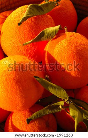 Bright orange Washington Navel oranges in a basket