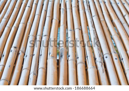 Bamboo floor background