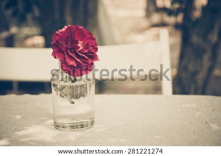 Red rose in the glass vase on the table in the garden restaurant, , vintage style