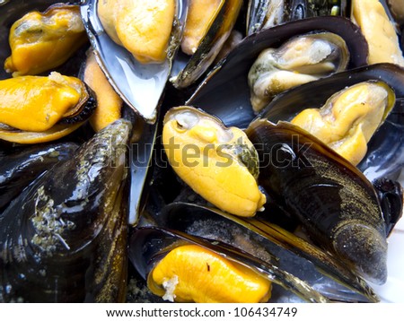 Mussels steamed in a convection oven at