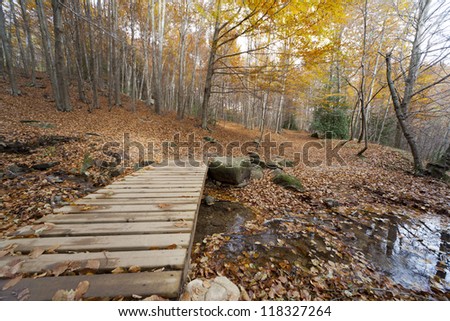 View of the peaceful landscapes of Montseny in autumn
