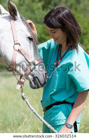 Veterinary great performing a scan to a young mare