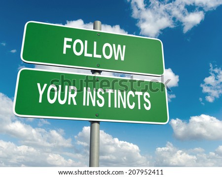 A road sign with follow you instincts words on sky background