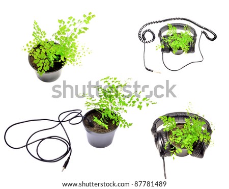 Set of photos that embody the concept of music and life. Decorative plant in headphones. Plant with mini jack wire and connector/Music and life concept/Decorative plant in headphones