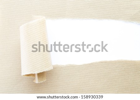 torn corrugated paper with white background