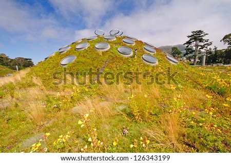 Green Roof on top of the California Academy of Sciences in San Francisco