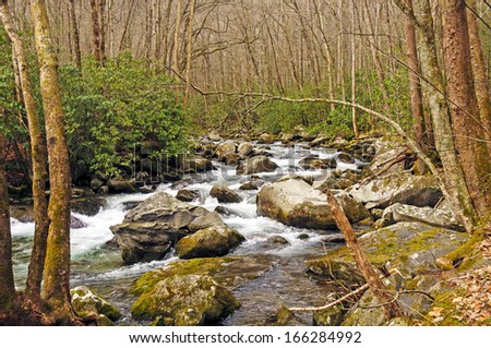 Big Creek in the Smoky Mountains in Spring