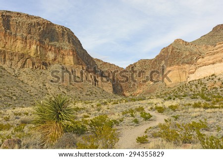 The Burro Mesa Pour off Trail in Big Bend National Park in Texas