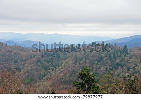 A misty day in the Great Smoky Mountains of North Carolina