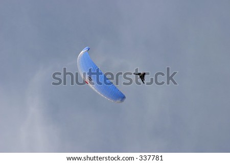 Sportsman making an aerobatic named “Helicopter” on paragliding competition in FRY Macedonia at Krushevo mountains.