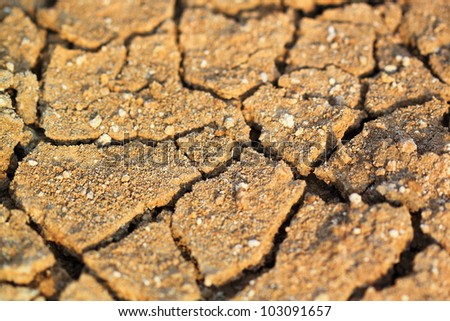 Drought land
