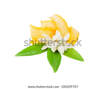 Orange dried peel and  flower with leaves isolated on a white background.
