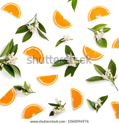 Top view of blossoming branches of orange tree with leaves and sliced orange fruit, isolated on white background.