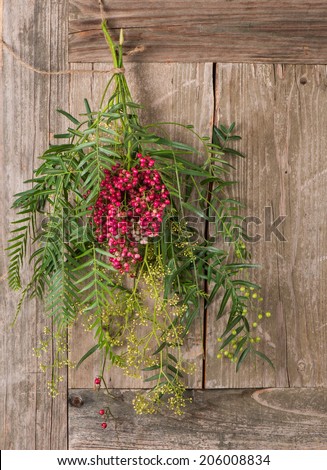 Branch of the peruvian pepper tree laden with flowers, pink and green peppercorns, on wooden background.
