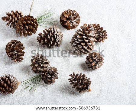 Pine cones on the snow. Christmas nature background