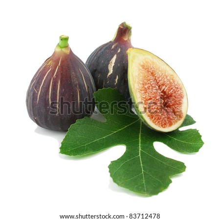 a essay on ripe fig Description read the ripe figs by kate chopin http://docsouthuncedu/southlit/chopinnight/chopinhtml#chopin399 write a sequel from fall to spring your responses. a essay on ripe fig Description read the ripe figs by kate chopin http://docsouthuncedu/southlit/chopinnight/chopinhtml#chopin399 write a sequel from fall to spring your responses.