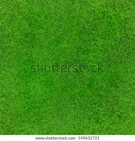 Idyllic Seamless Grass Texture