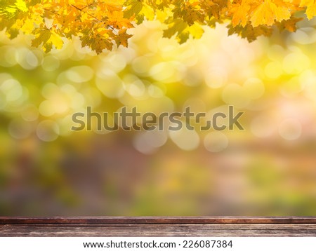 background of backyard in autumn